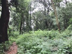 -杭州西湖风景名胜区-满觉陇四眼井