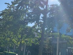 -金豆角砂锅焖面(安贞店)