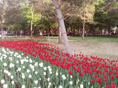 -长春公园(普阳街道)