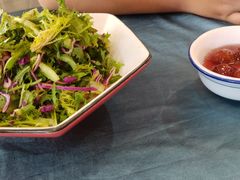 果仁苦菊-清真•蜀风园(丁字沽店)