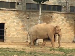 -石家庄市动物园