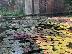 -广州莲花山旅游区