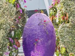 -深圳国际园林花卉博览园