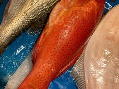 -良友·海鲜青岛菜(五四广场店)