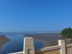 -宝安西湾红树林湿地公园