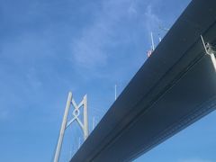 -招商蛇口邮轮母港(观光客运)