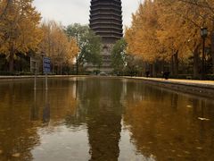-玲珑塔公园
