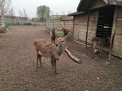 -安德鲁户外烧烤帐篷营地(马泉营店)