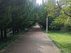 -洛阳市隋唐城遗址植物园