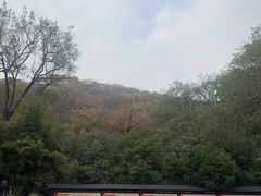 -善卷洞风景区
