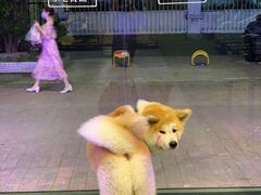 -YCHL Studios健身工作室(市二宫店)