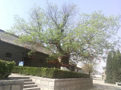 -杨家埠民间艺术大观园