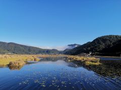 -腾冲北海湿地