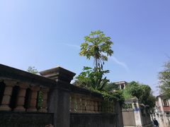 -海天堂构