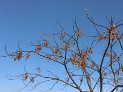 -良渚古城遗址公园
