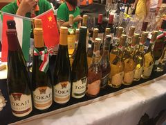 -沈阳丽都酒店