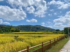 -云水谣景区
