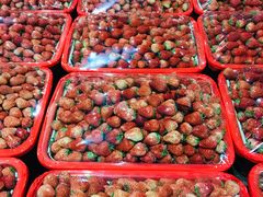 -菜园坝水果市场