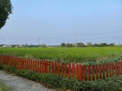 -莲花岛景区