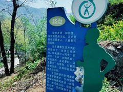 -大岭沟猕猴桃谷风景区