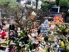 -三圣花乡旅游区