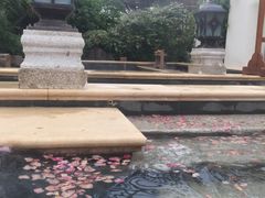 -苏州湾王焰温泉度假酒店