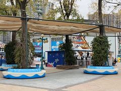 -海合安成都极地海洋公园