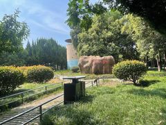 -安徽八里河旅游区