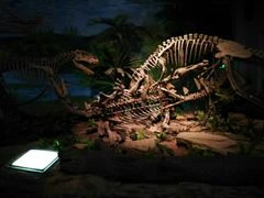 -自贡恐龙博物馆