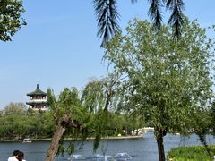 -莱西月湖公园
