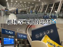 -合肥新桥国际机场-航站楼