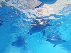 -洛阳龙门海洋馆