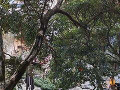 -苏州吴宫泛太平洋酒店