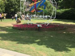 -金鸡山公园