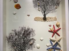 -青岛贝壳博物馆