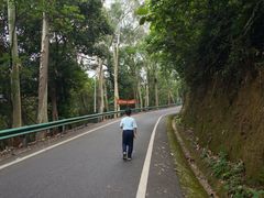 -佛山市三水区大南山森林公园