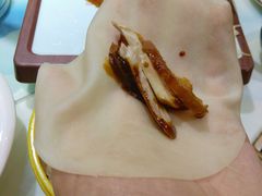 -松沪名灶·豆浆鱼头·新上海菜(飞航吾悦广场店)