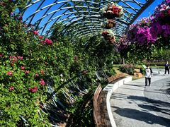 -上海植物园-4号门售票处