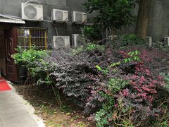 -新概念来凤鱼(璧山店)