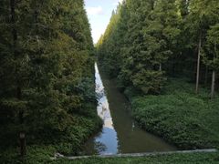 -黄海国家森林公园