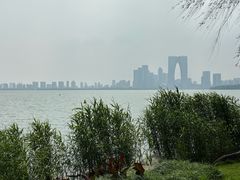 -金鸡湖景区