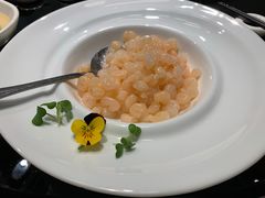 清炒河虾仁-HOMES上海本帮菜(襄阳公园店)