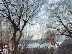 -济南大明湖景区