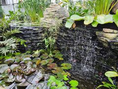 -国家植物园南园