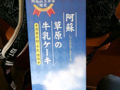-阿苏山