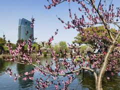 -无锡蠡湖国家湿地公园-蠡园