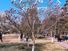 -荆州中山公园动物园