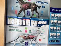 -关爱宠物医院·猫科中心·消化科(滨湖万达分院)