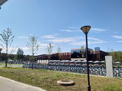 -黄海国家森林公园