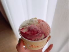 -DIP in GELATO(富民路店)